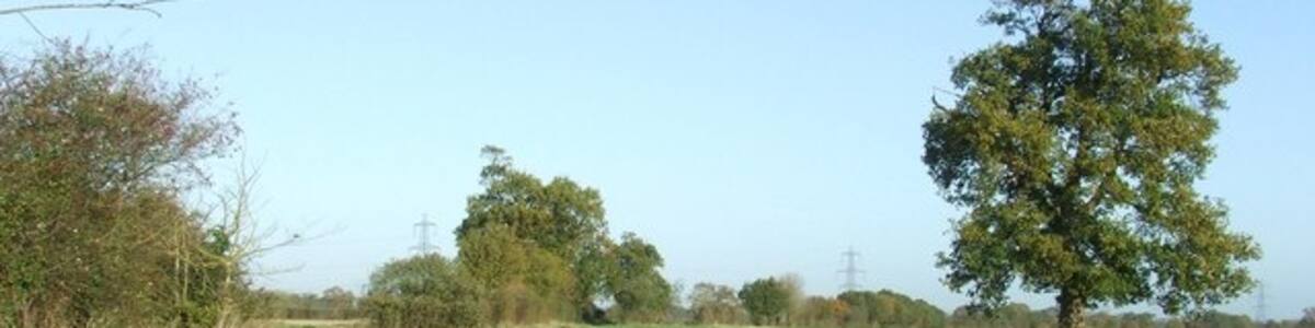 Photo "Ley's Lane Looking north along Ley's Lane near to Yaxley, Suffolk." by Keith Evans (Creative Commons Attribution-Share Alike 2.0) / Cropped from original