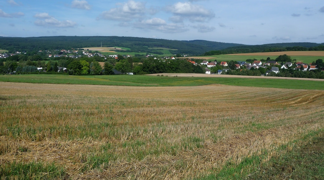 Photo "Brücken" by giggel (CC BY) / Cropped from original