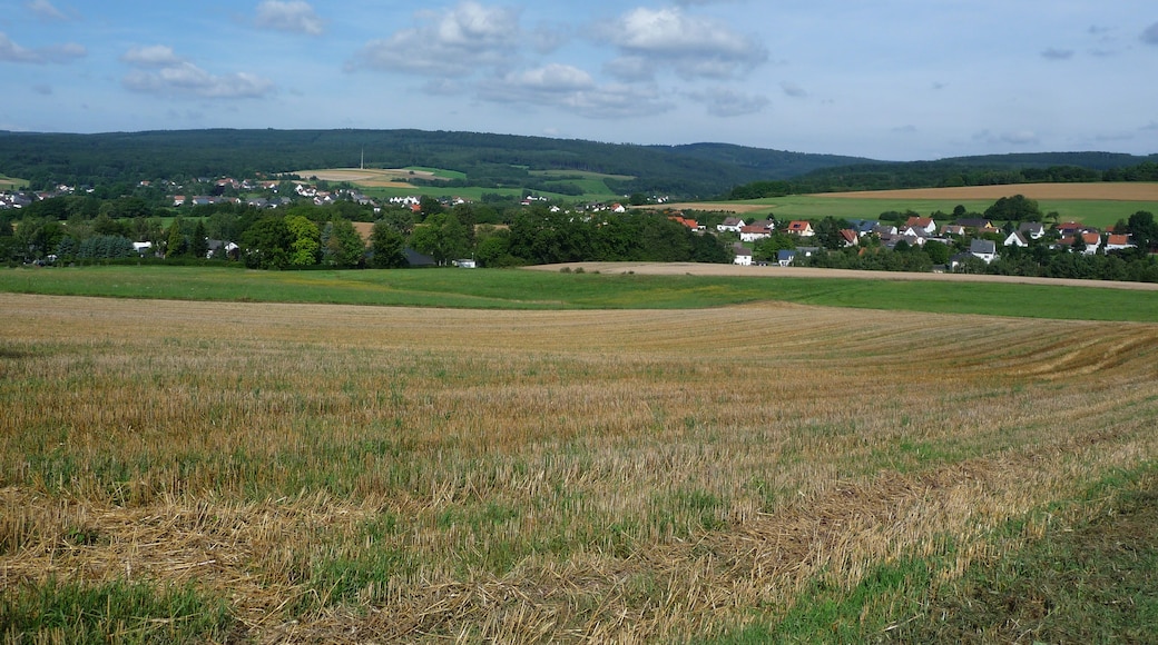 "Brücken"-foto av giggel (CC BY) / Urklipp från original