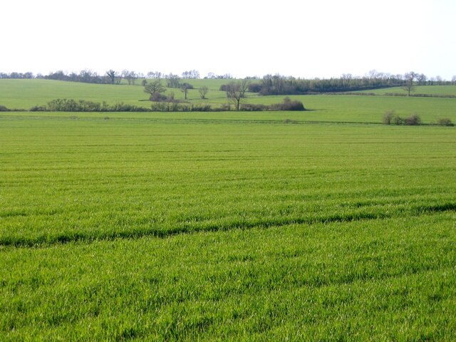 Foto “Croxton” tomada por Rodney Burton (CC BY-SA); recorte de la original