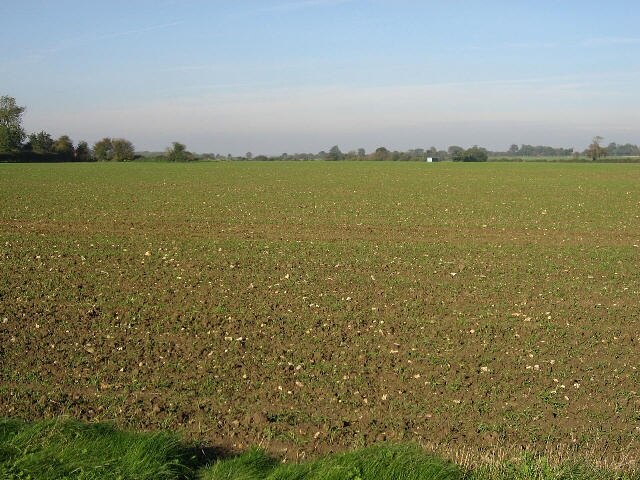 Kuva ”Ashill” käyttäjältä Roger Gilbertson (CC BY-SA) / rajattu alkuperäisestä kuvasta