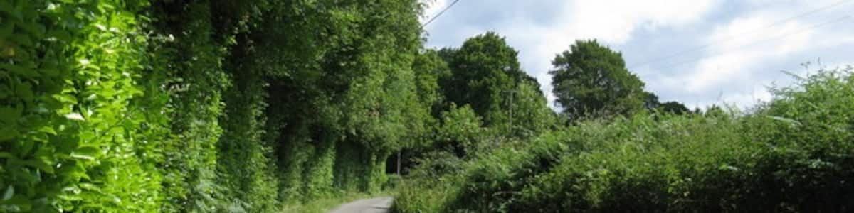 Photo "View NE up Buncton Lane" by Dave Spicer (Creative Commons Attribution-Share Alike 2.0) / Cropped from original