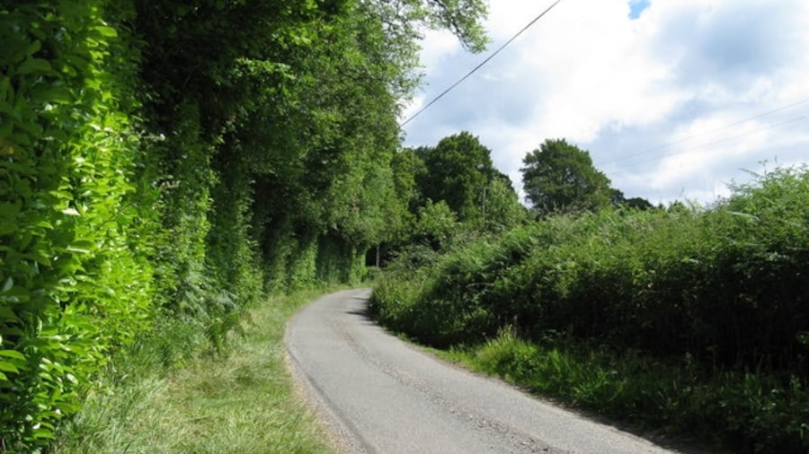 Photo "View NE up Buncton Lane" by Dave Spicer (Creative Commons Attribution-Share Alike 2.0) / Cropped from original