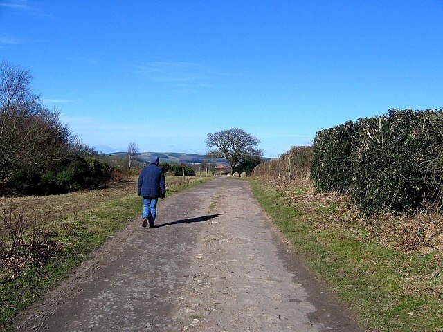 "Bearpark"-foto av Roger Smith (CC BY-SA) / Urklipp från original
