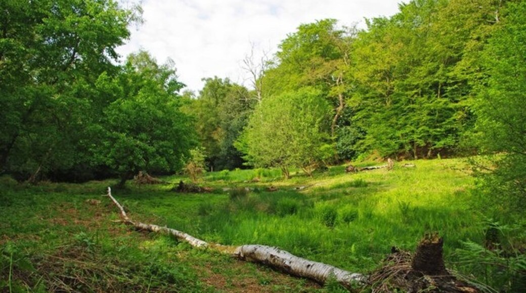 "Theydon Garnon"-foto av Glyn Baker (CC BY-SA) / Urklipp från original