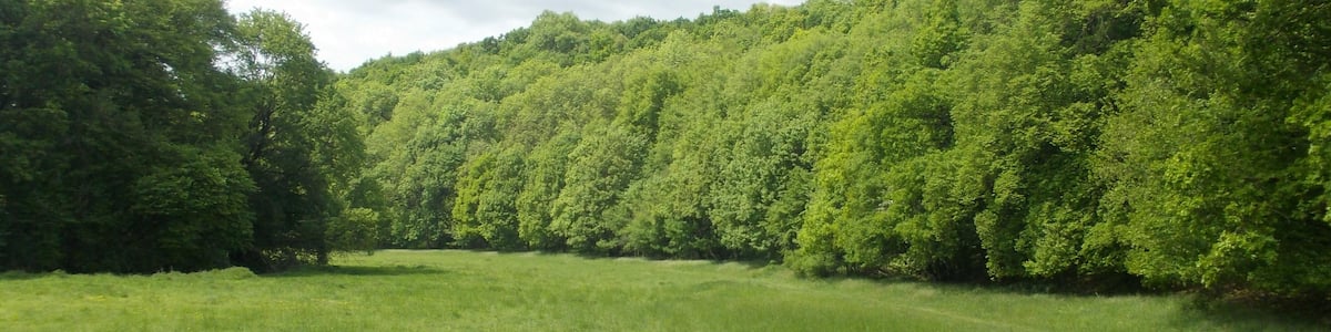 Photo "Frechmen's Valley east of Schönburg (district: Burgenlandkreis, Saxony-Anhalt) in Saale-Unstrut-Triasland Nature Park" by Jwaller (Creative Commons Attribution-Share Alike 3.0) / Cropped from original
