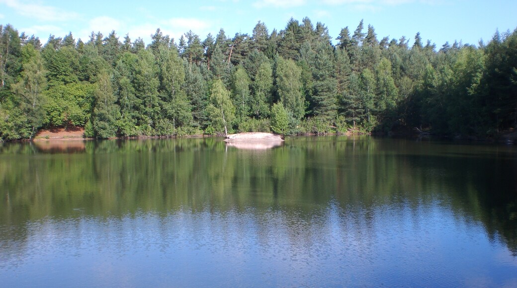 Foto „Forst Kleinschwarzenlohe“ von Derzno (CC BY)/zugeschnittenes Original