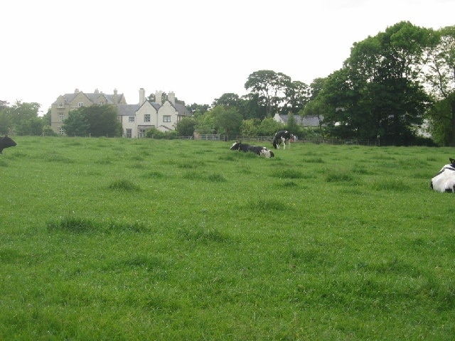 « Norley», photo de Lizzie (CC BY-SA) / rognée de l’originale