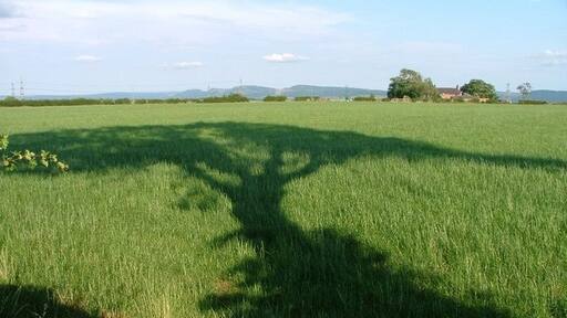 Foto „Picton“ von Mick Garratt (CC BY-SA)/zugeschnittenes Original