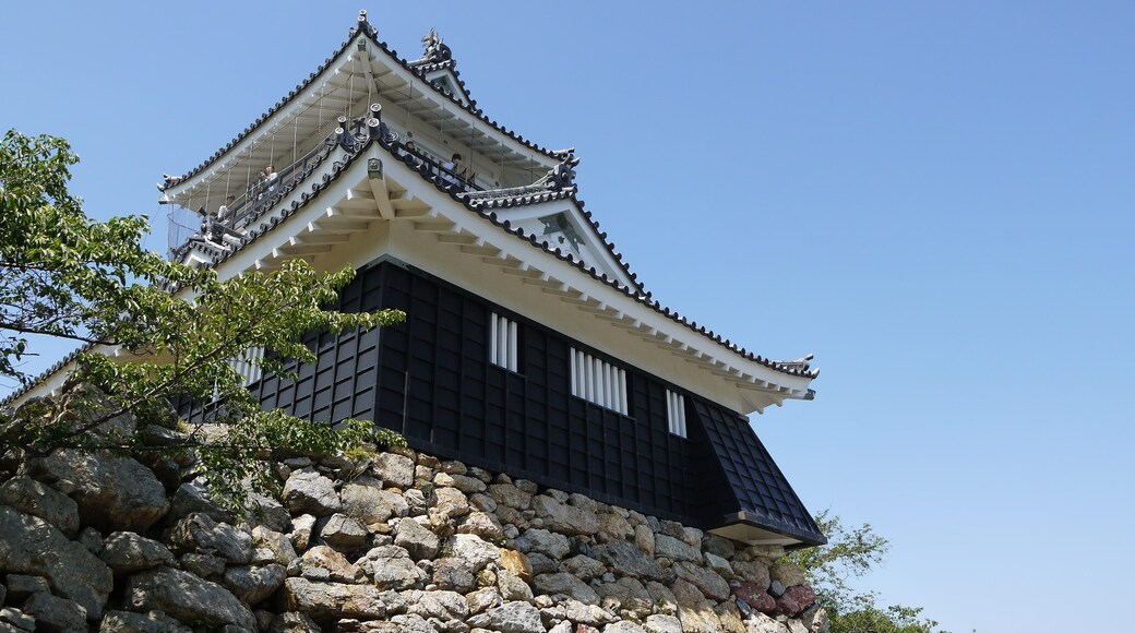 Foto "Kastil Hamamatsu" oleh baggio4ever (CC BY) / Dipotong dari foto asli