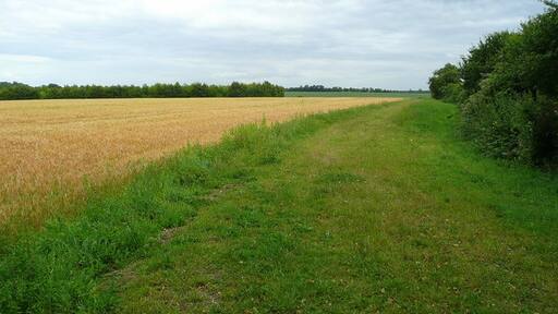 Foto “Hamerton y Steeple Gidding” tomada por Jonathan Billinger (CC BY-SA); recorte de la original