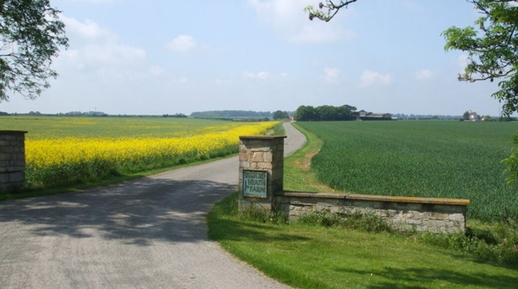 Foto „Wilsford“ von Glyn Drury (CC BY-SA)/zugeschnittenes Original