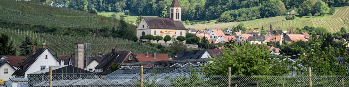 Photo "Bilder aus dem Schloß Bürgeln Hier Bilder von den Supraporten im ersten Stock des Schloßes. Es sind Bilder der Probsteien des Kloster St. Blasien und einige Füllbilder in einem später erstellten Flügel" by Joergens.mi (Creative Commons Attribution-Share Alike 3.0) / Cropped from original