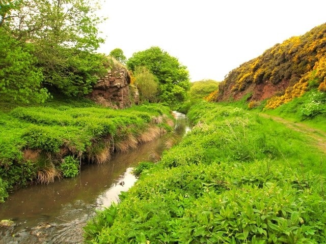 The path to Slains Castle, Cruden Bay. A walk through narrow gorge leading to Slains Castle, North of Cruden Bay. The rocky slopes are covered in the vivid yellow flowers of gorse bushes.