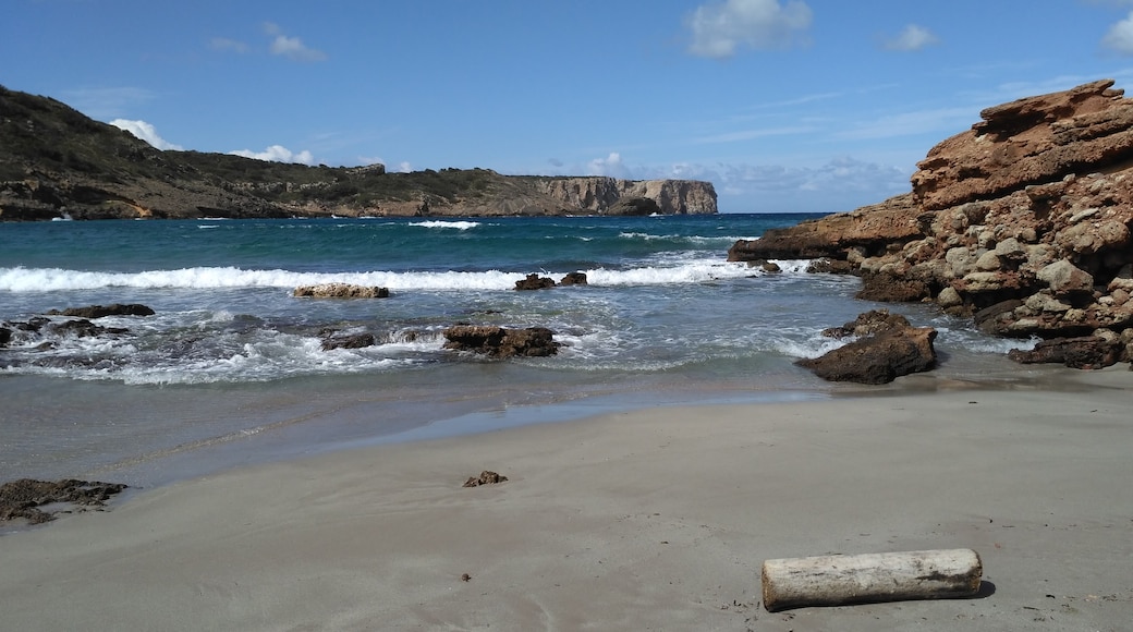 Foto "Playa de Algaiarens" de Sandro3coma14 (page does not exist) (CC BY-SA) / Recortada de la original