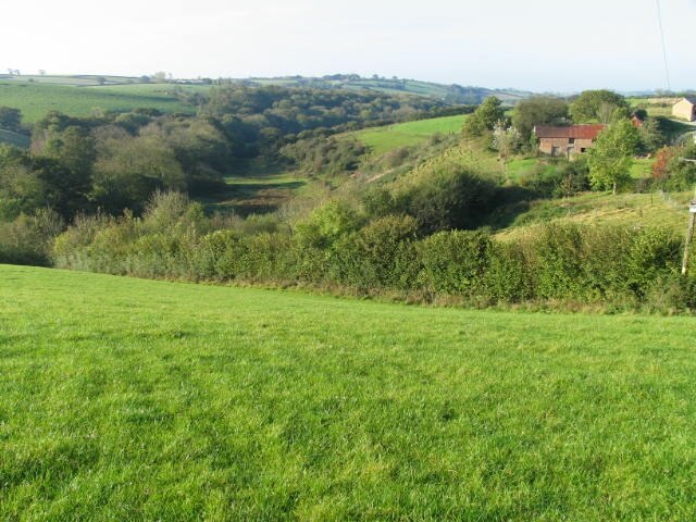 River Dalch valley at Lewdon Farm This hidden section of the Dalch valley (north side) is a Devon Wildlife Site.