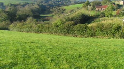 Photo "Thelbridge" by Jane Schofield (CC BY-SA) / Cropped from original