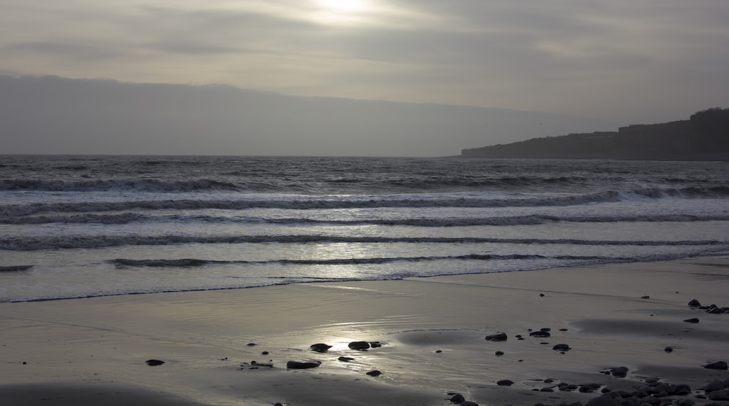 Photo "Pebble Beach" by Jeremy Segrott (CC BY) / Cropped from original