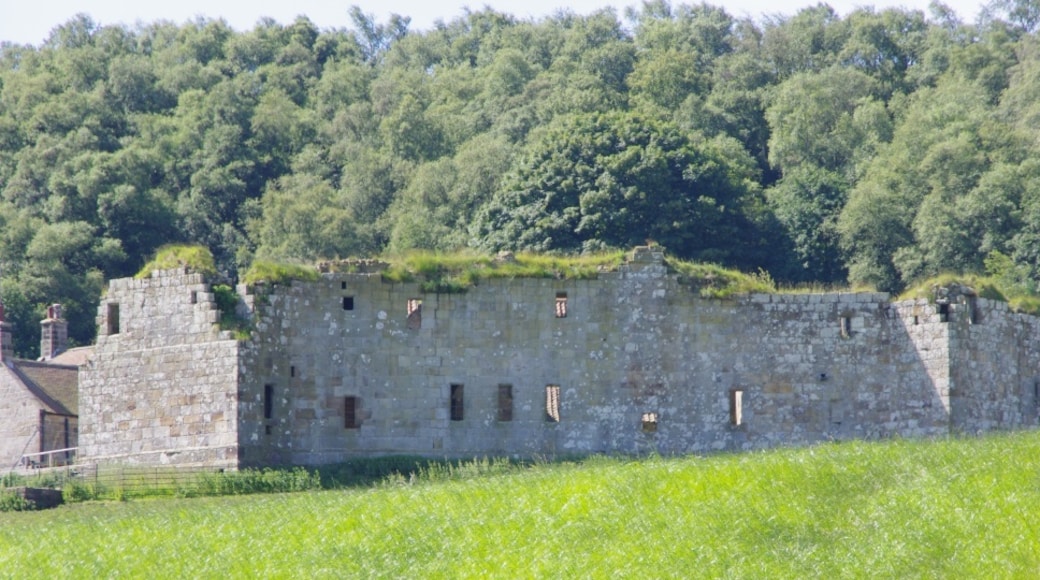 Photo "Danby Castle" by Simon Armstrong (page does not exist) (CC BY-SA) / Cropped from original
