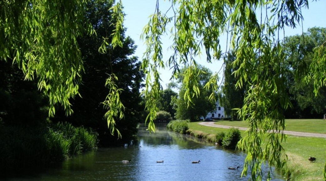 Kuva ”Fyfield” käyttäjältä Derek Voller (CC BY-SA) / rajattu alkuperäisestä kuvasta
