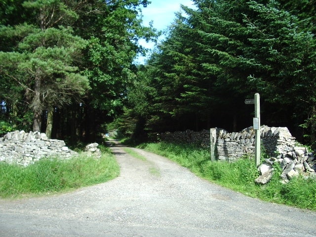 The Road to Reagill Grange. The sign pinned to the footpath post, asks if anyone who sees a grey squirrel in the area to ring a number and to say where they have seen it