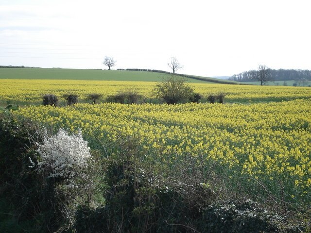 Foto „Culverthorpe und Kelby“ von Simon Mortimer (CC BY-SA)/zugeschnittenes Original