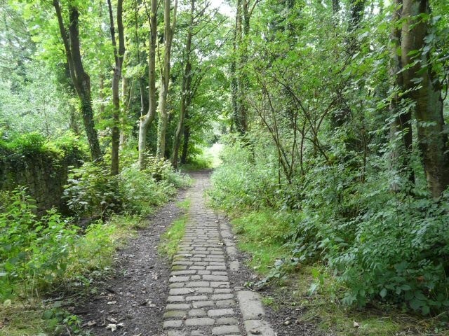 Visit Charlesworth 2023 Travel Guide for Charlesworth, Glossop Expedia