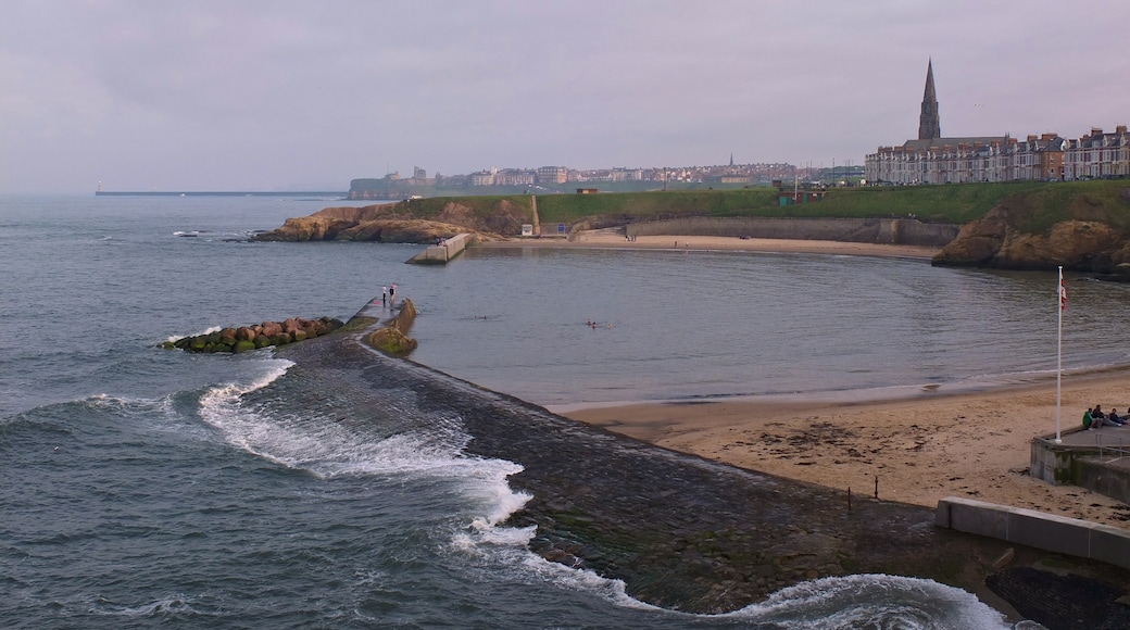 Photo "Cullercoats" by Phil Sangwell (CC BY) / Cropped from original