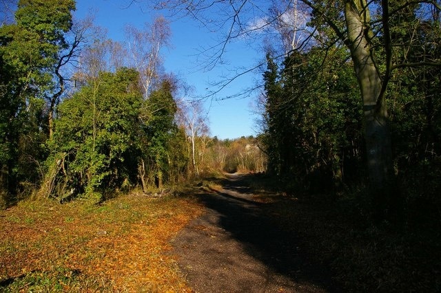 Kuva ”Grays” käyttäjältä Glyn Baker (CC BY-SA) / rajattu alkuperäisestä kuvasta