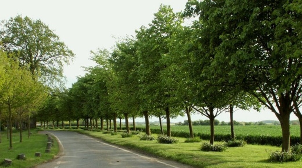 Kuva ”White Roothing” käyttäjältä Robert Edwards (CC BY-SA) / rajattu alkuperäisestä kuvasta