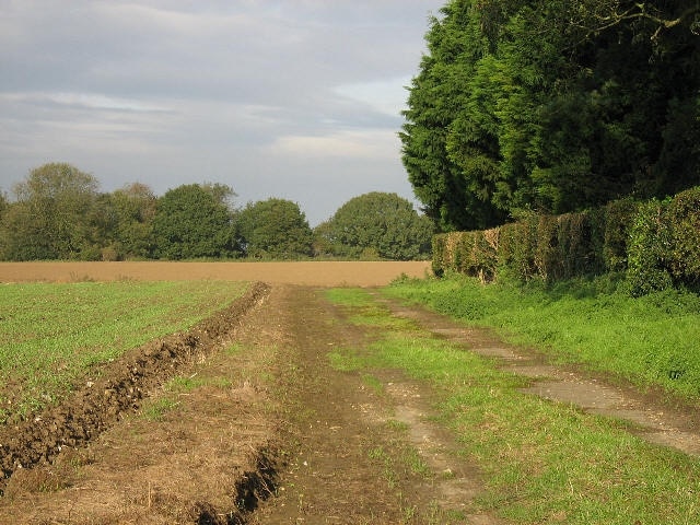 Kuva ”North Pickenham” käyttäjältä Roger Gilbertson (CC BY-SA) / rajattu alkuperäisestä kuvasta