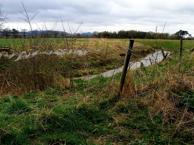 Foto “Kirkby” tomada por Carol Rose (CC BY-SA); recorte de la original