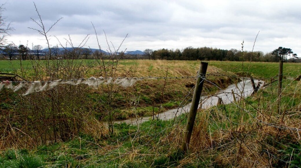 Foto “Kirkby” tomada por Carol Rose (CC BY-SA); recorte de la original