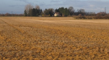 Woodhouse Farm, Impington, Cambs. View N across winter stubble along the eastern side of the square; this wedge of farmland extends into north Cambridge between the Huntingdon and Histon roads.