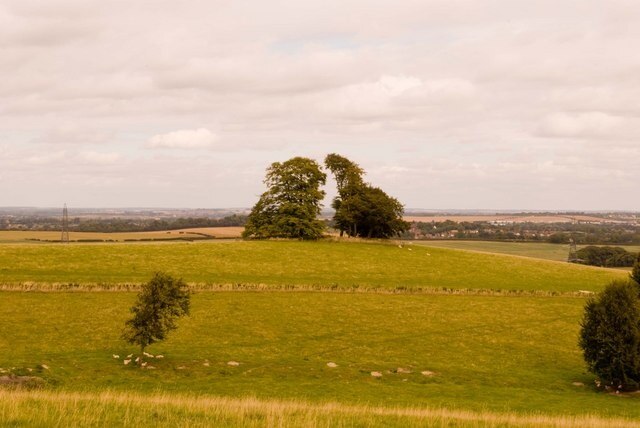 Photo "Preston" by Martin (CC BY-SA) / Cropped from original