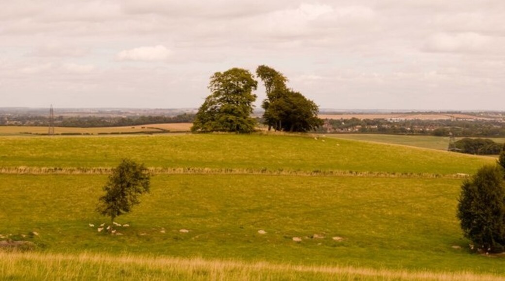 Photo "Preston" by Martin (CC BY-SA) / Cropped from original