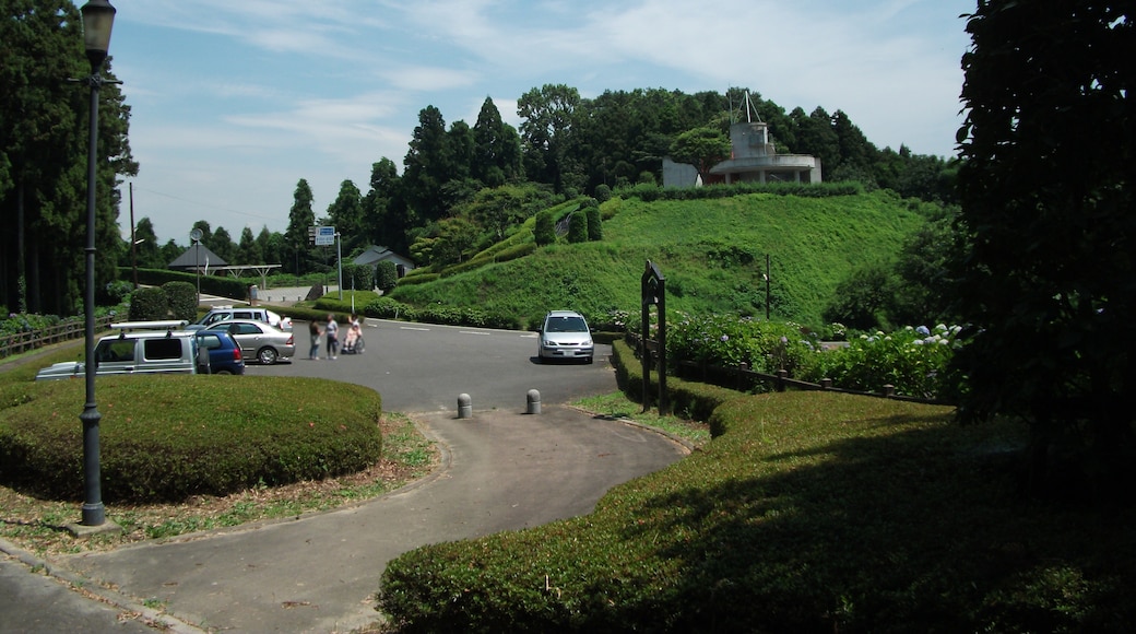 Chieko-no-mori_Park (Nihonmatsu, Fukushima, Japan)
