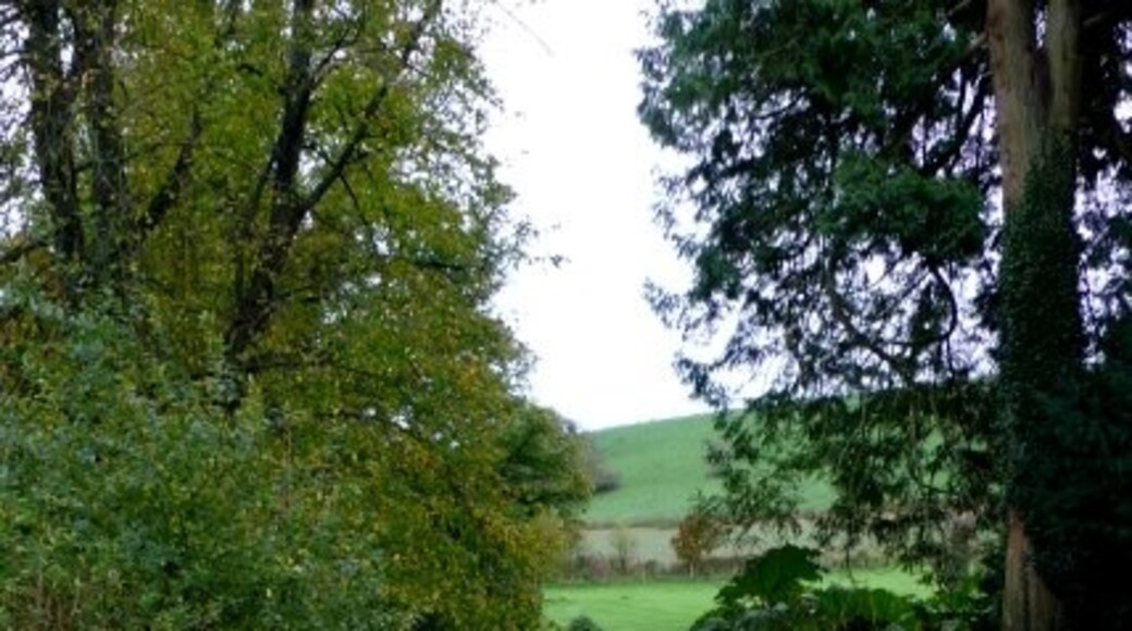 "Winterbourne Steepleton"-foto av Nigel Mykura (CC BY-SA) / Urklipp från original