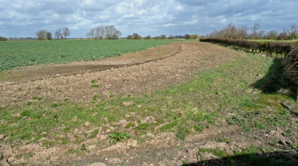 Kuva ”Thornton le Fen” käyttäjältä Jonathan Billinger (CC BY-SA) / rajattu alkuperäisestä kuvasta