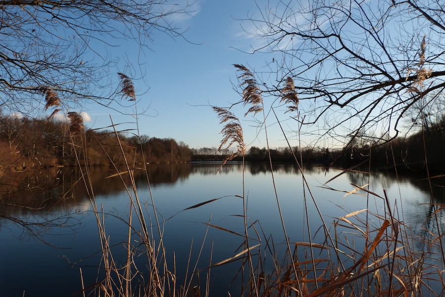 Steinrodsee im Dezember 2011