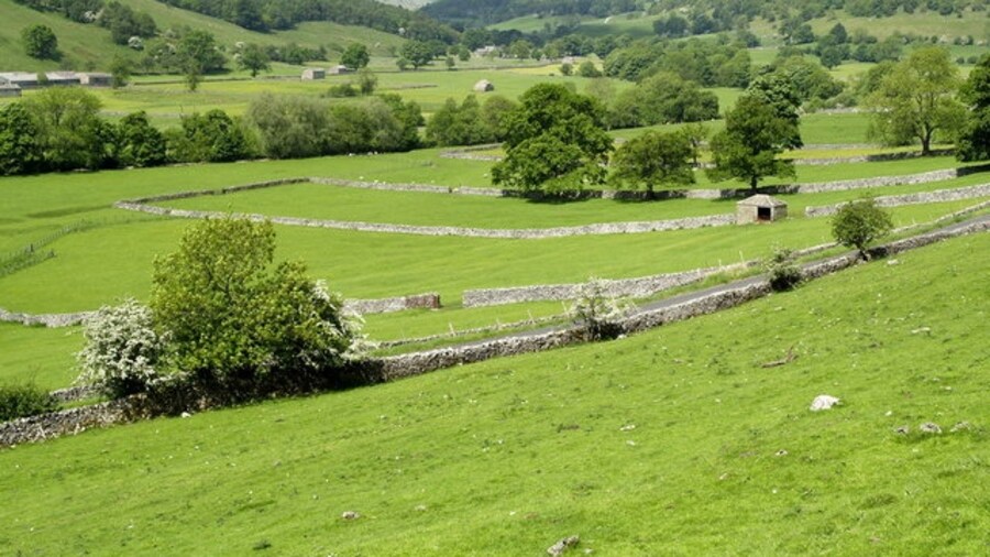 Photo "Upper Wharfedale from north of Buckden" by Andy Beecroft (Creative Commons Attribution-Share Alike 2.0) / Cropped from original