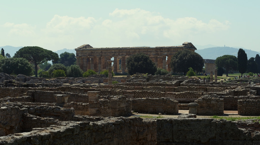 Photo "Temple of Neptune" by Mboesch (CC BY-SA) / Cropped from original
