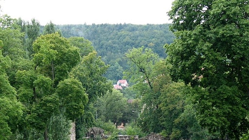 Billede "Meiningen" af Stephen Craven on geo.hlipp.de (CC BY-SA) / beskåret fra det originale billede