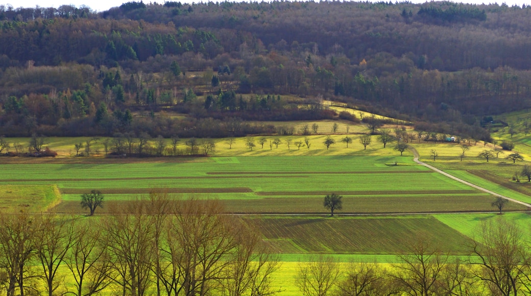 "Enzberg"-foto av Dg-505 (CC BY) / Urklipp från original