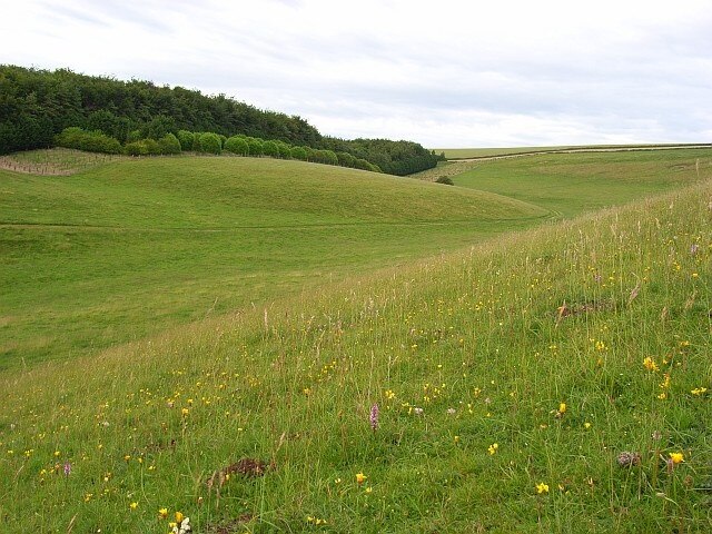 Photo "Steeple Langford" by Andrew Smith (CC BY-SA) / Cropped from original