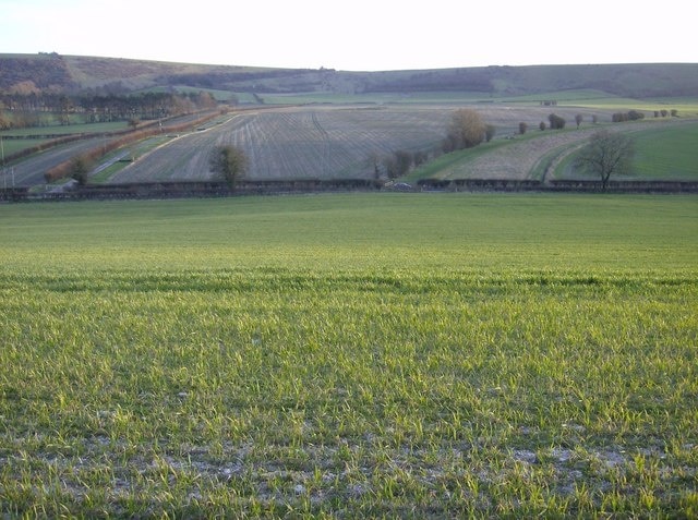 Towards the downs From the east-west footpath below Bishop's Hill looking south. To the right of the picture beyond the hedge line the gallops can be seen curving away to the right. At the left of the picture another line of gallops is seen, with jumps. The first geograph for this square shows a closeup of those from a gate just beyond the hedge line. A minor road crosses the photo and the square behind the hedge.