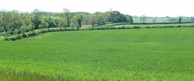 "Shalstone"-foto av Snidge (CC BY-SA) / Urklipp från original