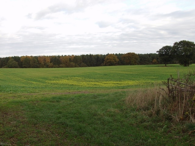 "Welshampton and Lyneal"-foto av John Haynes (CC BY-SA) / Urklipp från original