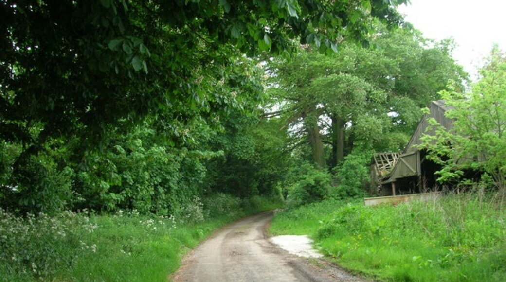 Foto “Foston” tomada por JThomas (CC BY-SA); recorte de la original