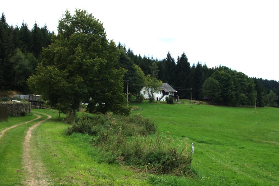 Countryside around Jáchymov, part of the town of Stachy, South Bohemian Region, CZ